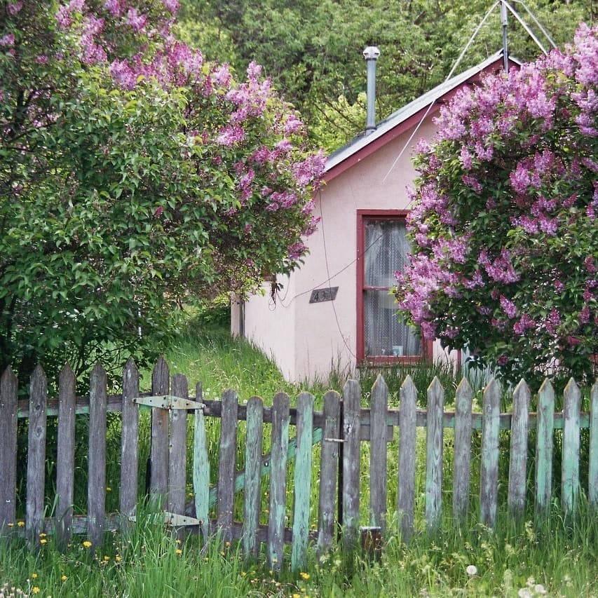 The Cottagecore Aesthetic: Outfits for the Countryside Appeal