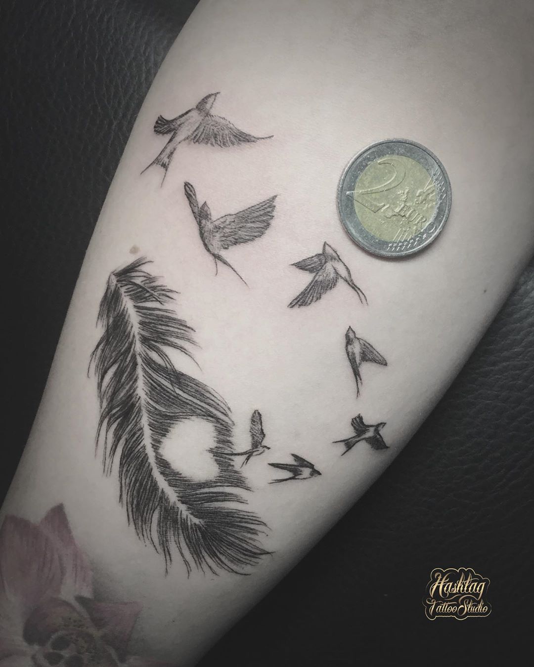 Fineline birds & feather