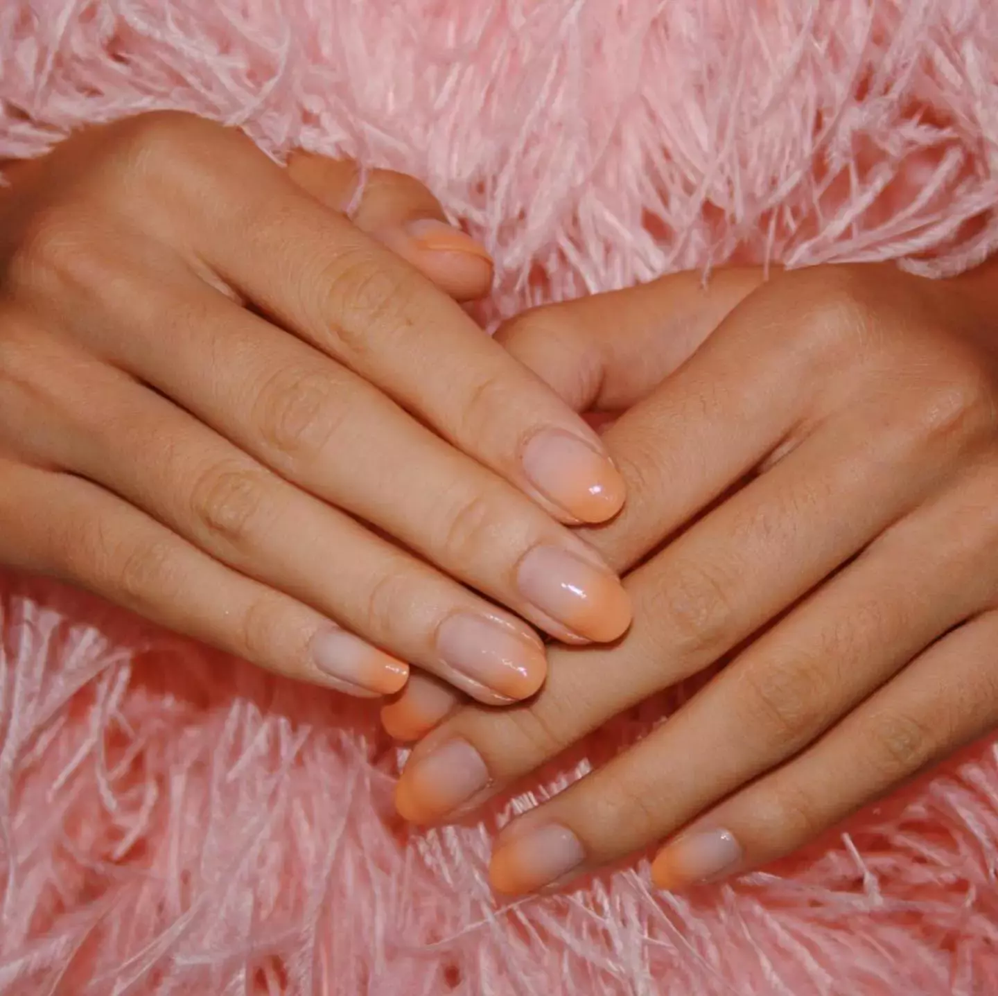 Pale Peach French Manicure