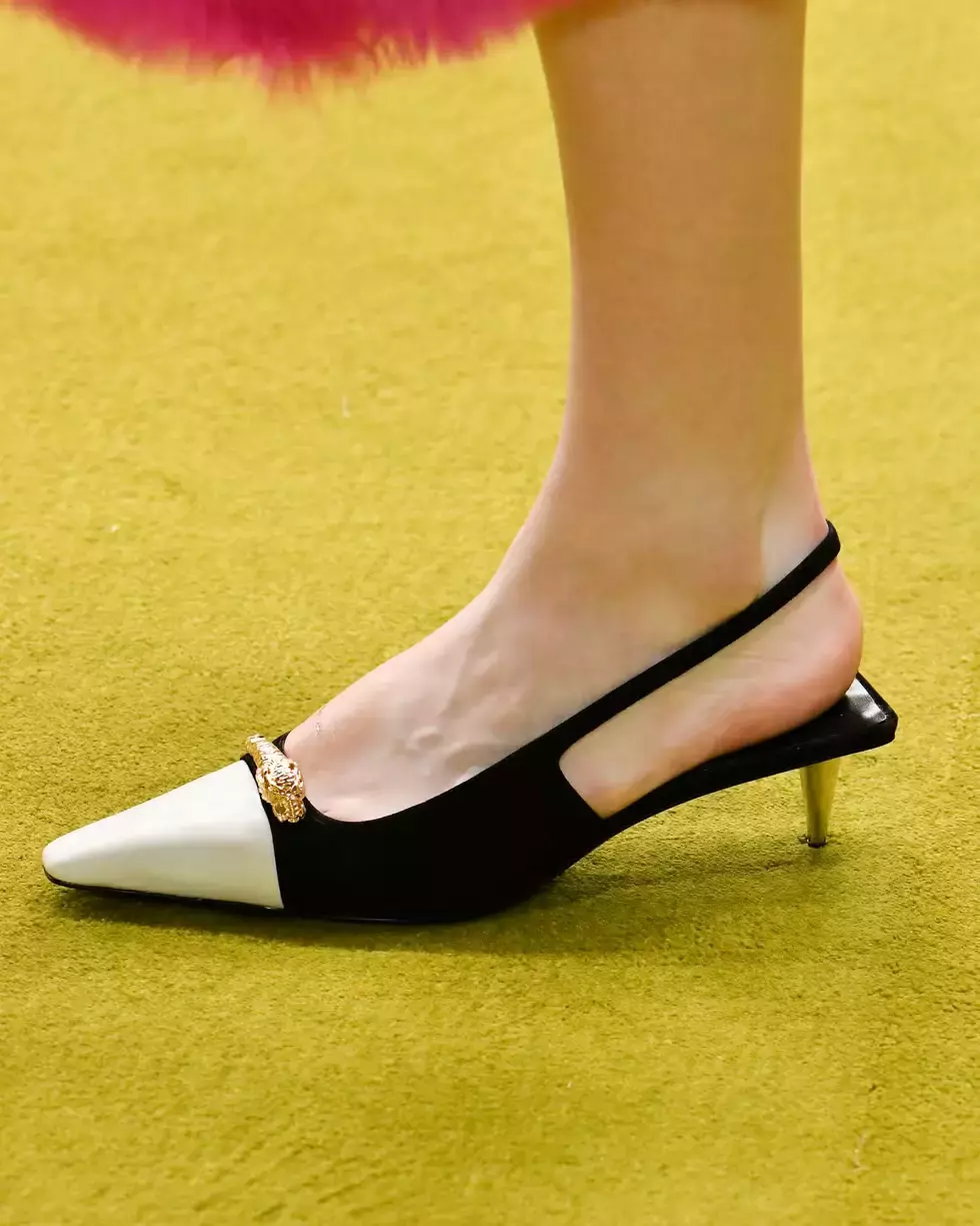 Pointy Slingbacks