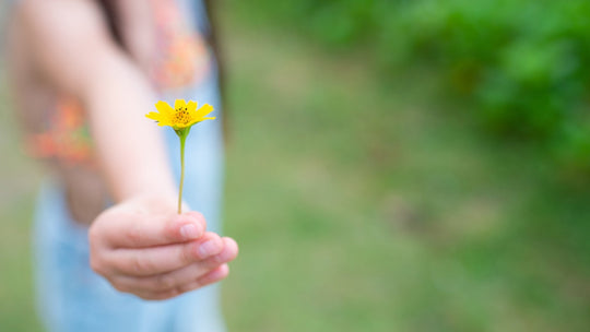 THE GIFT OF GIVING